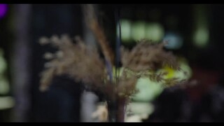 Hoa Hồng Giấy EP 2 [Sub Việt]