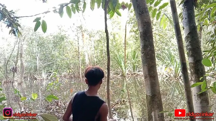 explore danau Kalimantan.. kelanjutan nya ada di YouTube eldyzeinkar