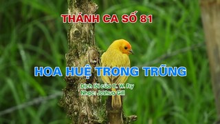 THÁNH CA 81 – HOA HUỆ TRONG TRŨNG