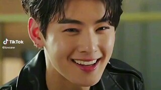 Handsome cha eun woo