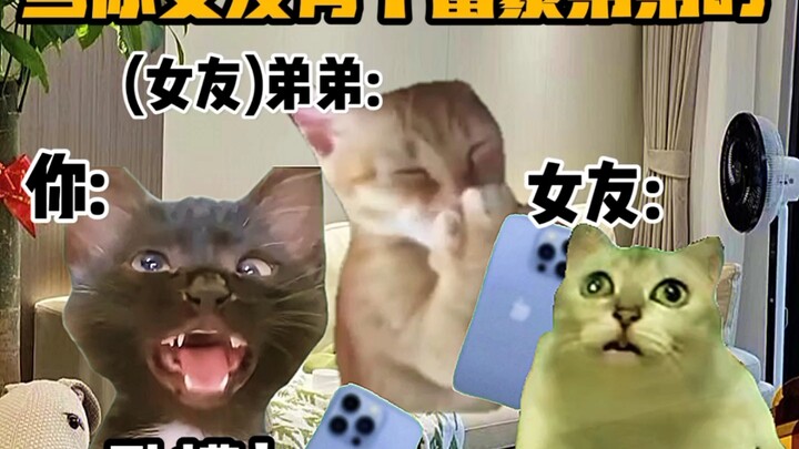 《猫meme小剧场》当你女友有个富豪弟弟时！