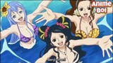 Sanji Berenang Bareng Mermaid!! Menang Banyak 😍😂