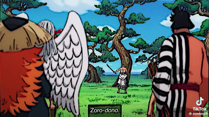 ZORO use enma for the first time