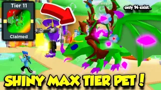 I Got The RAREST MAX TIER SHINY PET In Clicker Simulator Update!! (Roblox)