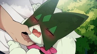 [dagasi] Bộ sưu tập Pokémon 2