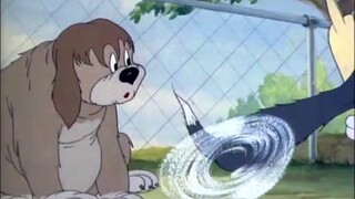 [Phiên bản phác thảo của Tom và Jerry] #4 Bộ ba trò lừa - "Bán xe"