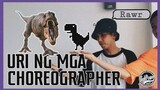 URI NG MGA CHOREOGRAPHER | DIFFERENT KINDS OF CHOREOGRAPHER | HIGHPOWER