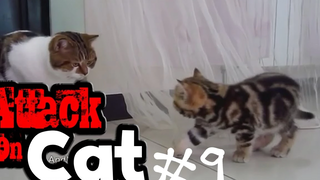 รวมพลแก๊งค์แมวฮ่า Attack on Cat ! 10 / ตอน ชาบู พากย์นรก