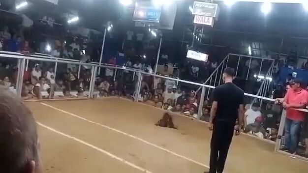 win