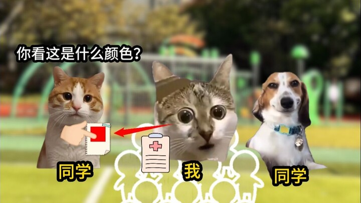 一个红绿色盲的自述