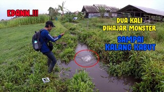 EDANNN...!! KALANG KABUT DIHAJAR IKAN MONSTER!!