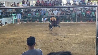 Sayang Panalo ng hiraw natamaan pa naonahan na yong kalaban bumawi sayang tabla