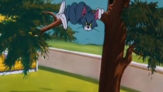 Tom and jerry