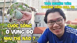 CUỘC SỐNG CỦA MÌNH TRONG VÙNG ĐỎ CÓ GÌ ĐẶC BIỆT, CÓ NÊN TIÊM VACCINE TQ ? Nam Art