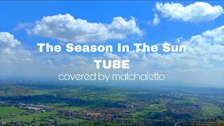 The Season In The Sun by TUBE - Cover by matchaletto #BstationJadul