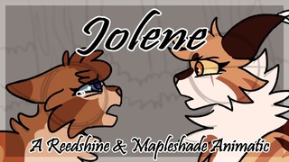 【Jolene - Reedshine & Mapleshade | Animatic】