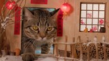 [DIY]Membuat adegan miniatur bertema Tahun Baru untuk kucing