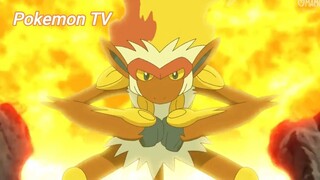 Pokemon (Short Ep 114) - Luyện tập cùng nhau (Tiếp) #pokemon