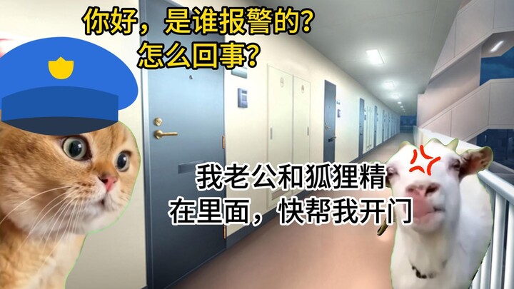 【猫meme】跟momo去办案：深夜捉奸现场！