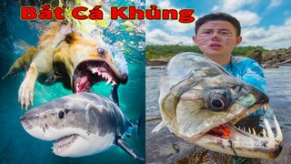 Thú Cưng TV | Đa Đa Thánh Chế #28 | Chó Golden Gâu Đần thông minh vui nhộn | Pets cute smart dog