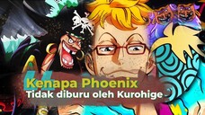 KENAPA KUROHIGE TIDAK MEMBURU BUAH IBLIS MARCO THE PHONIX - TEORI