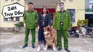 Hành Trình 24H Tìm Mật Mất Tích Ở Đà Lạt - 24 hours to find the missing dog