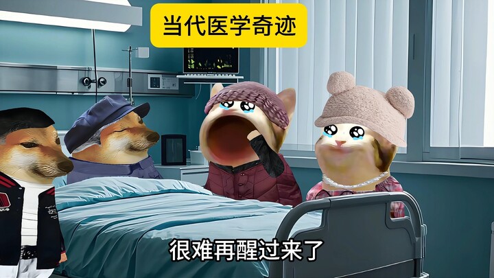 当代医学奇迹~~