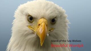 Island of the Sea Wolves/Beautiful Worldpk