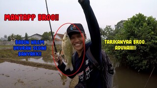 INI BARU MANTAP..!! SUNGAI INI ISINYA BABON NILEM UKURAN BESAR SEMUA!!