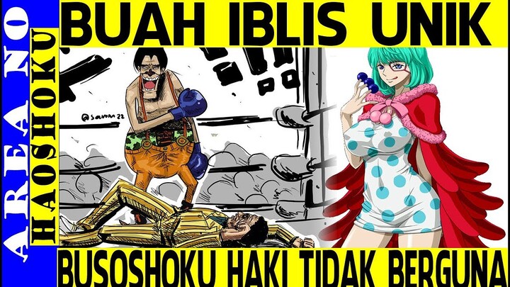 Unik DF, Didepan Buah Iblis ini Busoshoku Haki Tidak Berguna (One Piece)