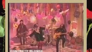 Happy Birthday CONCRETE BLONDE 1989 📀 Free