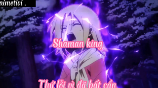 Shaman king _Tập 46- Thú lỗi vì đã bất cẩn