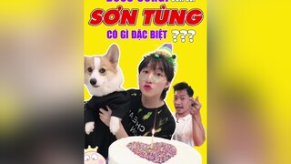 Boss Corgi của sếp Sơn Tùng MTP có gì hot? tuitienpet LearnOnTikTok education sontungmtp pet corgi esm ellastudy