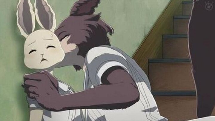 [Beastars] Wolf and Rabbit