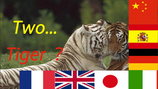 เพลง Two tigers เวอร์ชัน 7 ภาษาสำหรับเด็ก