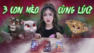 Gọi Điện Cho 3 Con Mèo Cùng Lúc: Giải Thoát Linh Hồn Tom, Angela, Ginger | Meena Channel