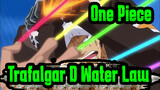 [One Piece] Trafalgar D. Water Law
