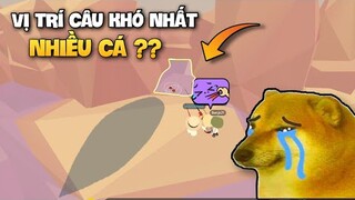 Play Together | Thử Câu Cá Ở  Vị Trí Khó Câu Nhất Và Cái Kết | Chấm Than Chống Auto Câu Cá