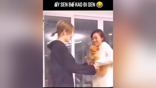 Bế kao đi để kao sử con này xem nài 😂thucung animals foryou fyp pet yeudongvat