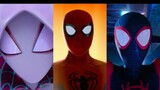 [AMV]Spider-men&Spider-women in <Spider-Man: Into the Spider-Verse>