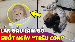 Con sen bất lực với 'ÔNG BỐ MÈO' khi suốt ngày chỉ thích 'TRÊU CON MÌNH' 😅 Gâu Đần