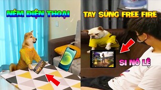 Thú Cưng Vlog | Chó Shiba Ngầu Nhất Thế Giới #4 | Chó Thông Minh Vui Nhộn | Smart dog funny pets