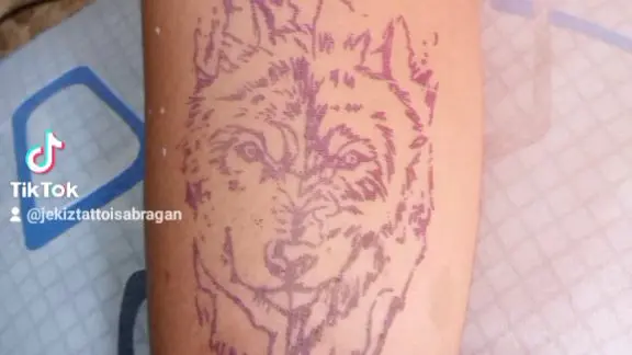 wolf tattoo good and bad side concept - Bilibili wolf tattoo good and bad side concept - Bilibili