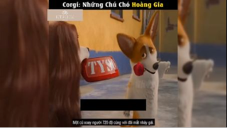 Tóm tắt phim: Corgi - những chú chó hoàng gia p2 #reviewphimhay