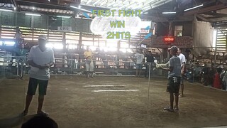 FIRST FIGHT WIN 2HITS ULUTAN