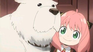 ครอบครัวของ Aniya ทุกคนมีเอกลักษณ์เฉพาะตัวมาก!