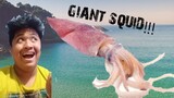 GIANT SQUID BROOO! | VLOG #2