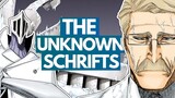 THE UNKNOWN SCHRIFTS - What are Sternritter K and N's Abilities? | Bleach TYBW Discussion