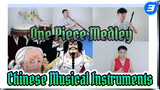 Enjoy! One Piece Medley With Chinese Musical Instruments (Extended Ver.)_3