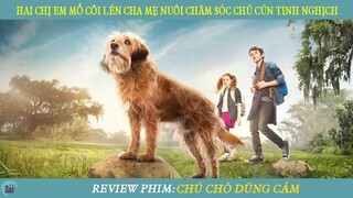 Review Phim ST I Hai Chị Em Mồ Côi Lén Cha Mẹ Nuôi Chăm Sóc Chú Cún Tinh Nghịch